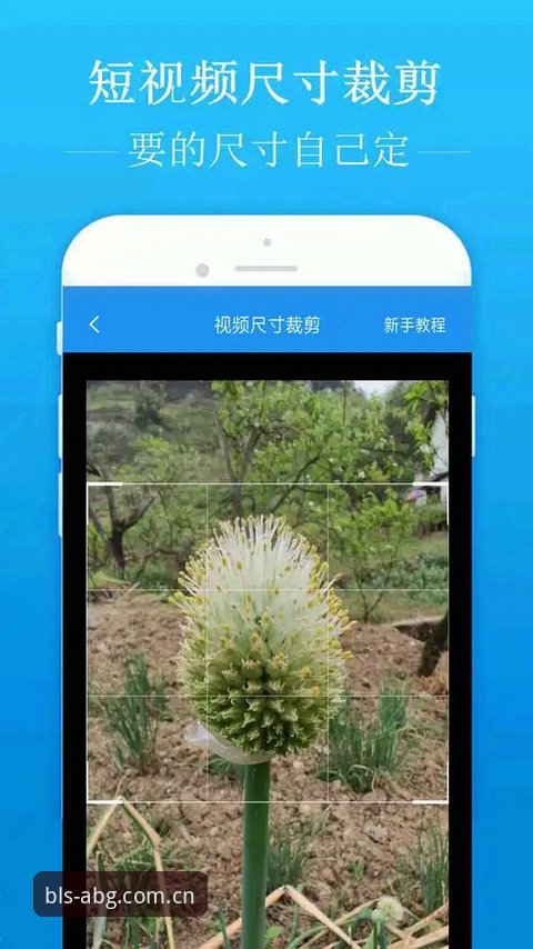 限字招牌安卓APK 限字招牌安卓APK vs 网页版:哪个更适合每日冲浪?